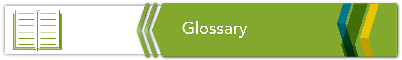 Glossary